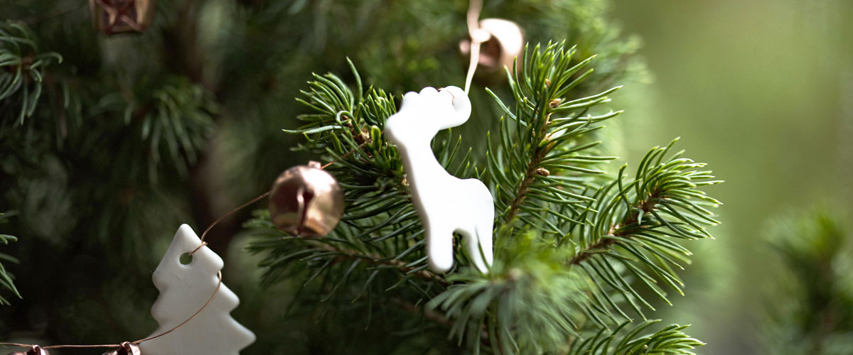 Stockton Christmas Tree Collection Stockton Recycles