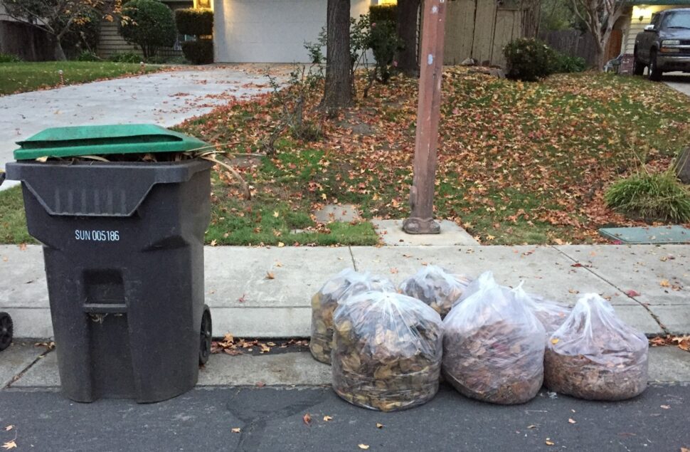 Notes from the Field Free Bagged Leaves Pick up During Leaf Season Stockton Recycles