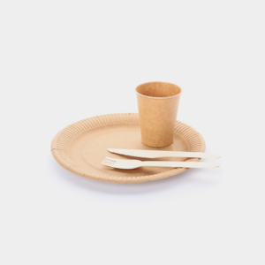 compostable-cups-plates-utensils