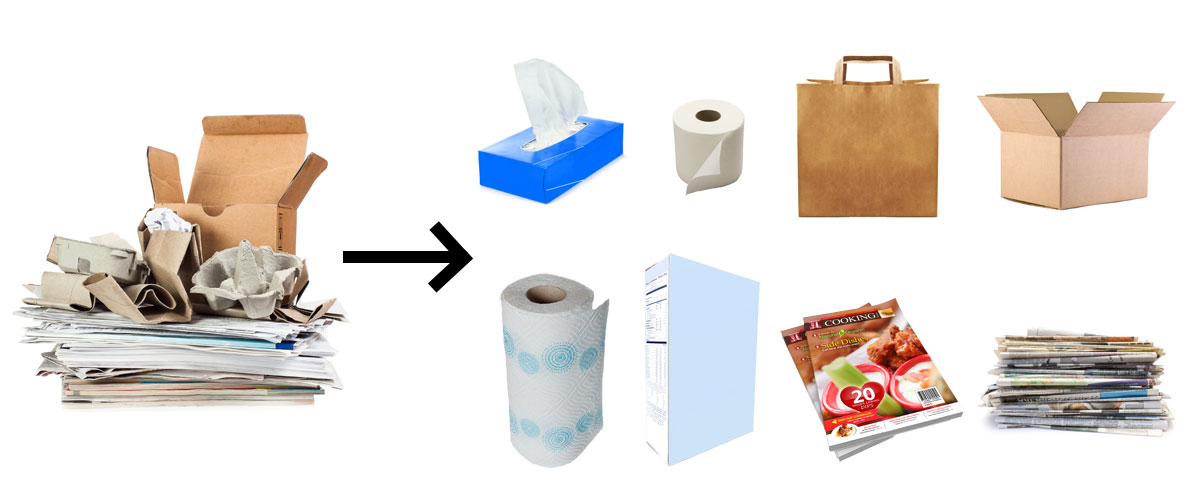 what paper